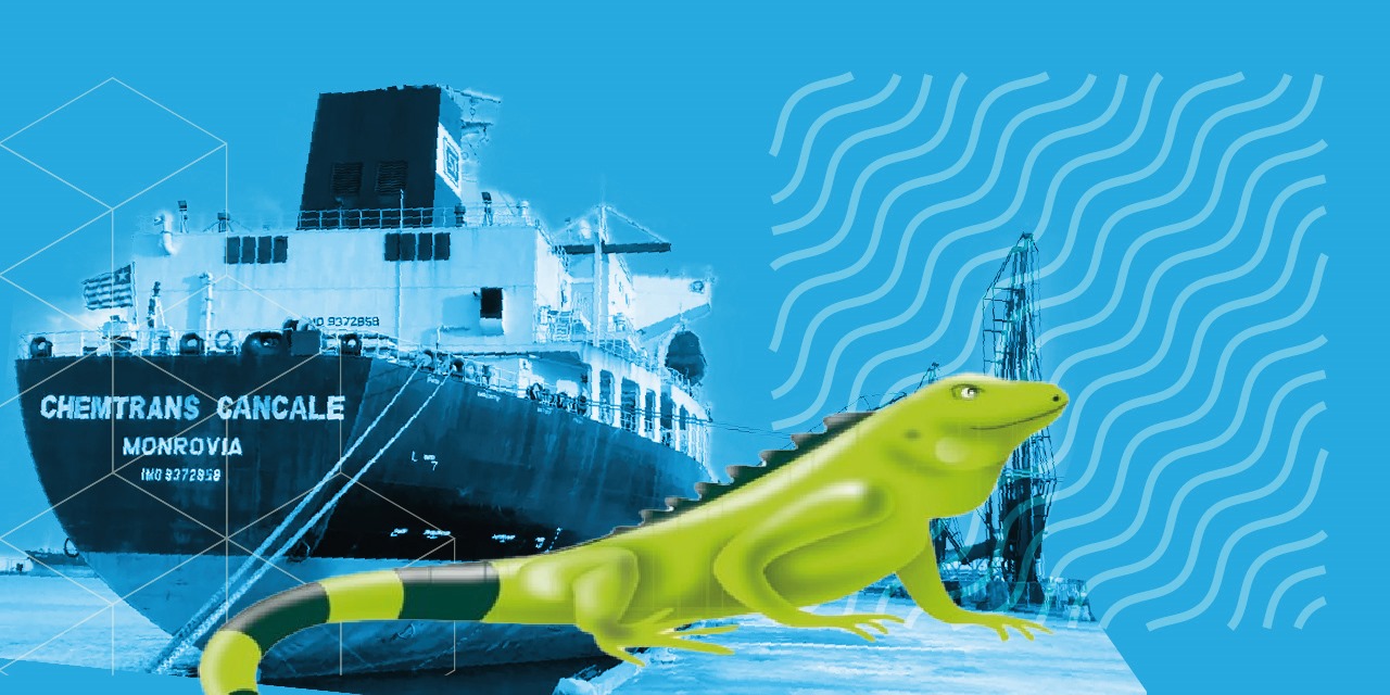 ecopetrol combustible marino