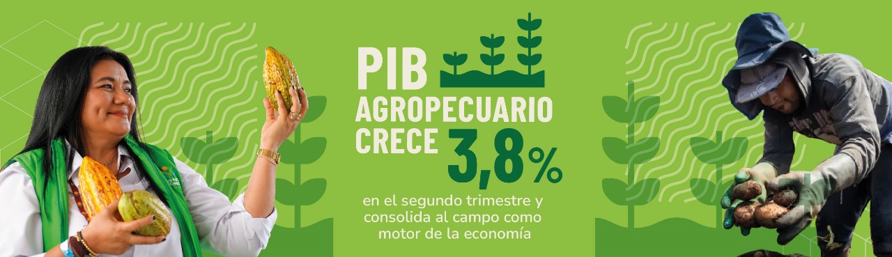pib agropecuario crece